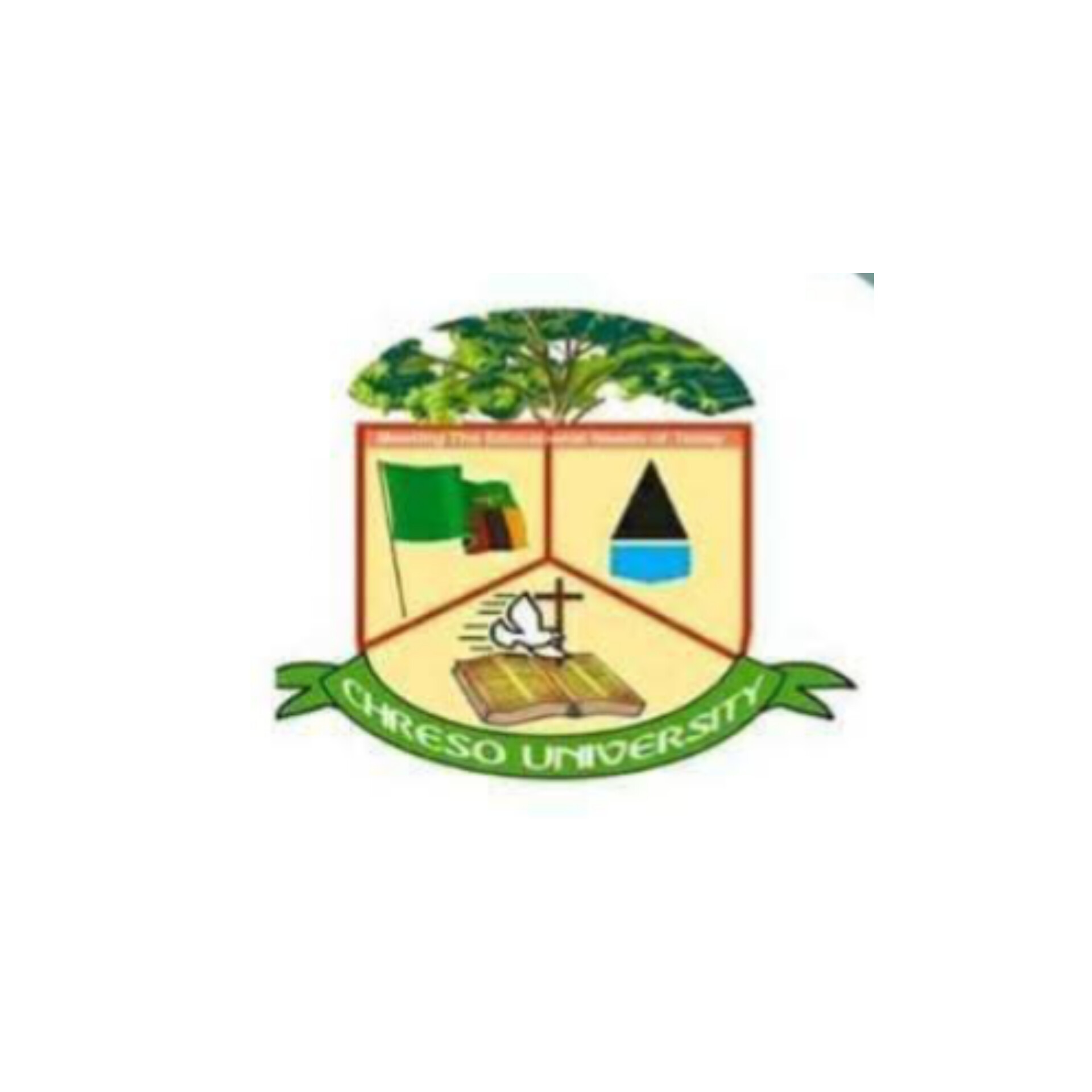 Chreso Universitylogo
